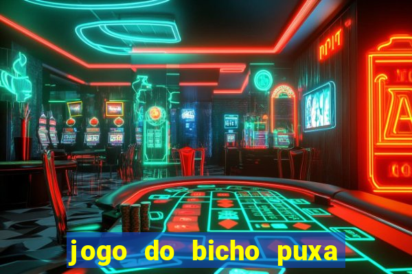 jogo do bicho puxa de dona maria